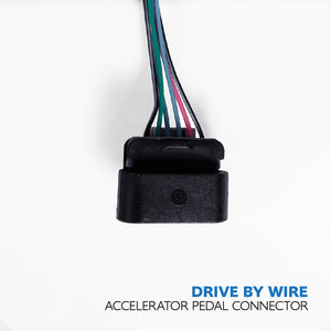 Terminated Gen4 Drive-By-Wire LSX CORE ECU Harness