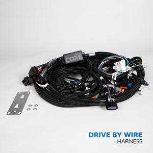 Terminated Gen4 Drive-By-Wire LSX CORE ECU Harness